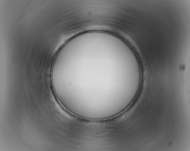 X0000111171033200907011003