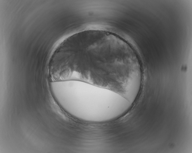 X0000111171035200907011003