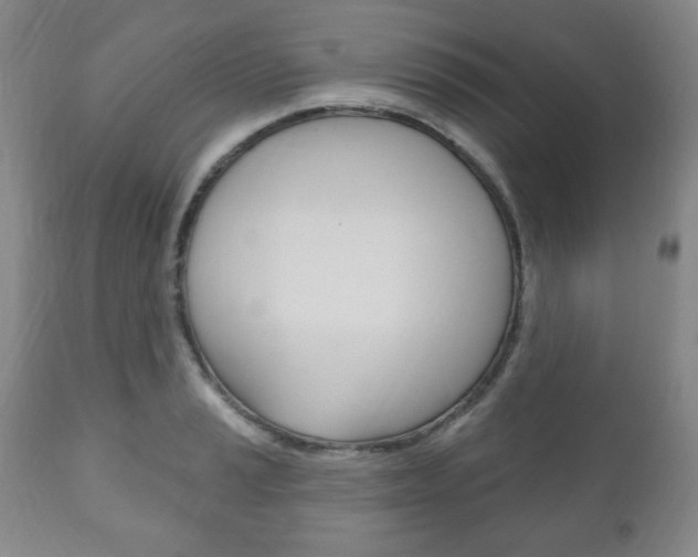 X0000111171037200907011003
