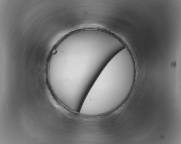 X0000111171038200907011003