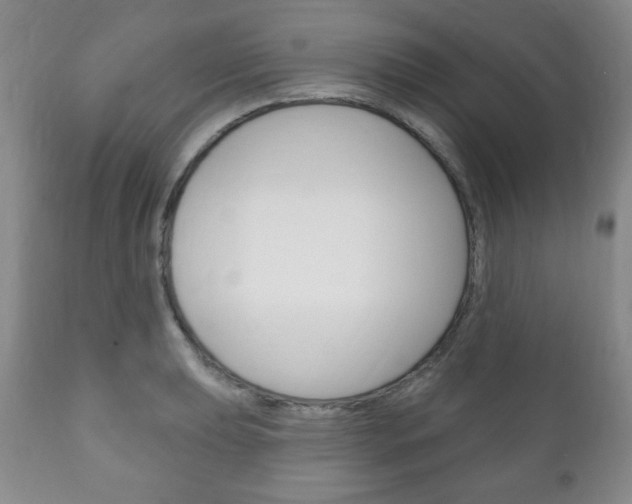 X0000111171039200907011003