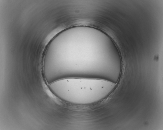 X0000111171042200907011003