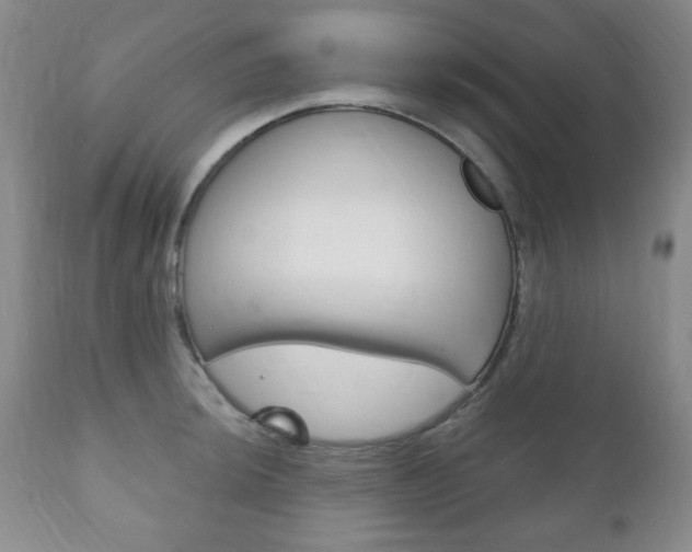 X0000111171044200907011003