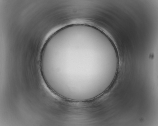 X0000111171045200907011003