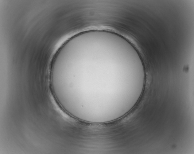 X0000111171046200907011003