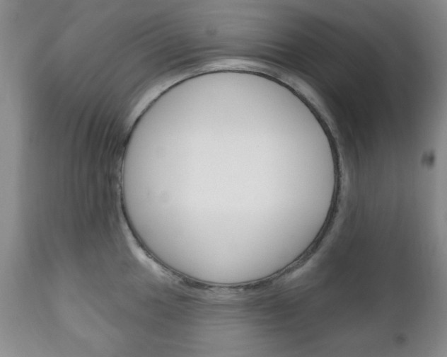 X0000111171049200907011003