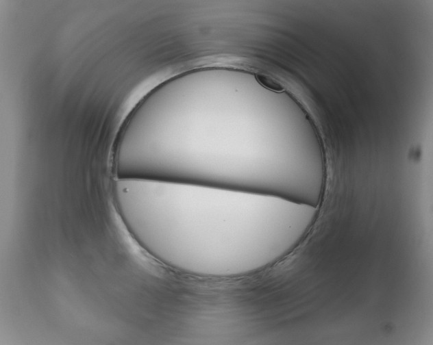X0000111171050200907011003