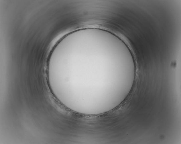 X0000111171051200907011003