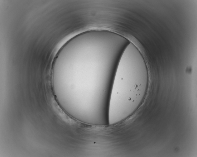 X0000111171052200907011003