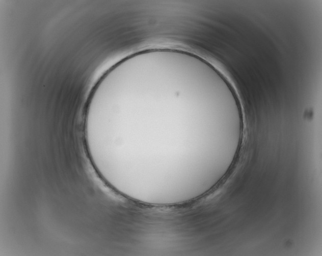 X0000111171053200907011003