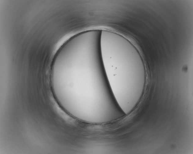 X0000111171054200907011003