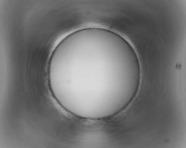 X0000111171056200907011003