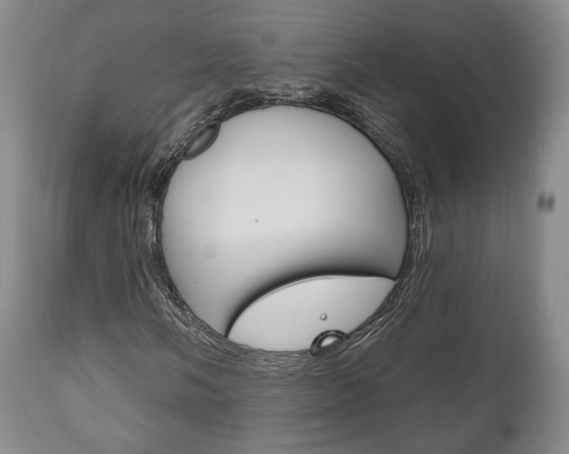 X0000111171058200907011003