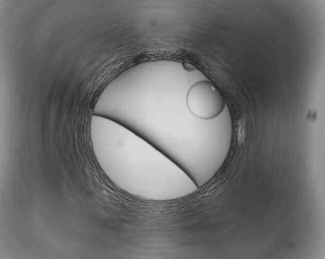 X0000111171059200907011003