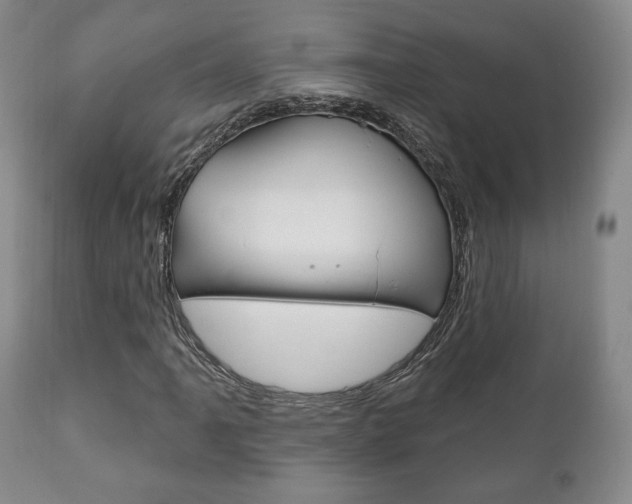 X0000111171061200907011003