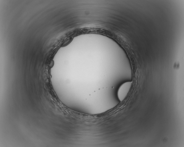 X0000111171062200907011003