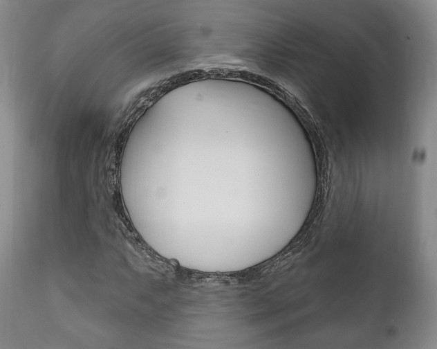 X0000111171063200907011003