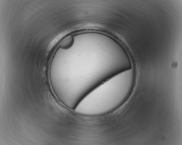 X0000111171066200907011002