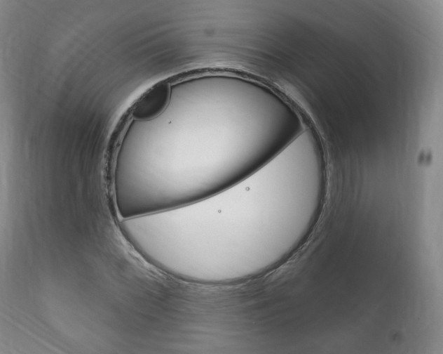 X0000111171068200907011002