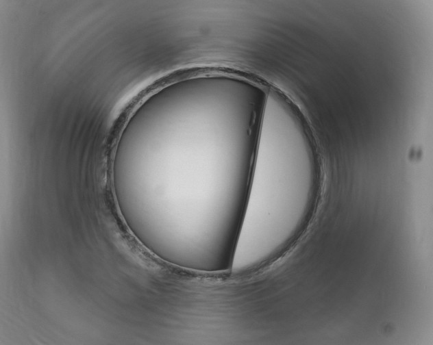 X0000111171069200907011002
