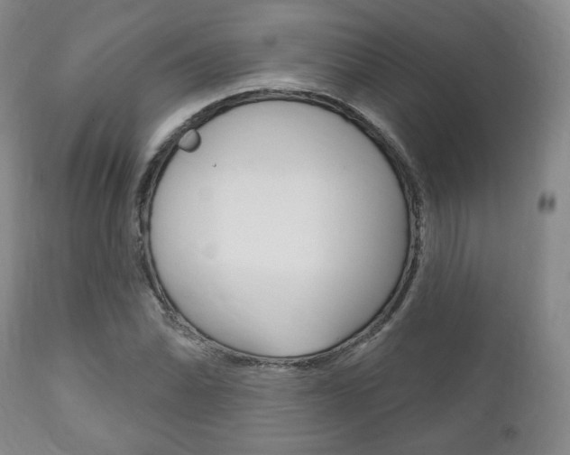 X0000111171070200907011002