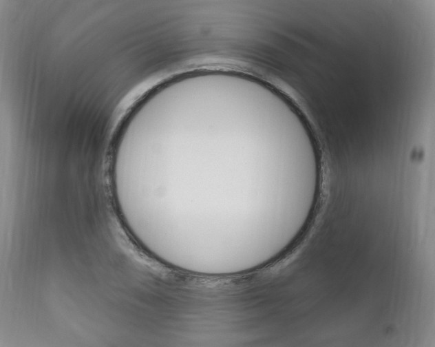 X0000111171074200907011002