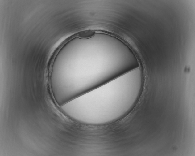 X0000111171076200907011002