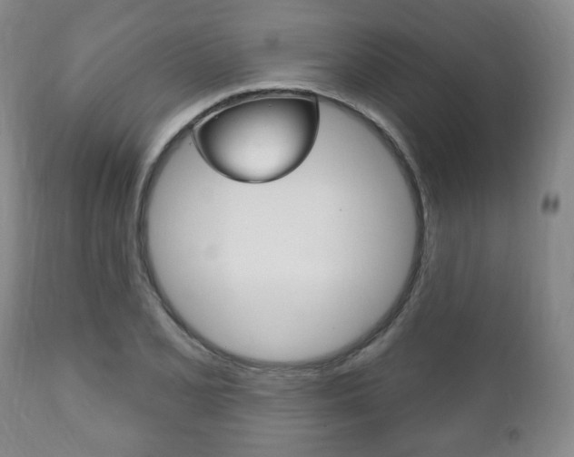 X0000111171077200907011002