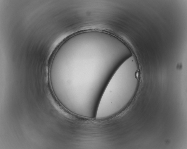 X0000111171079200907011002