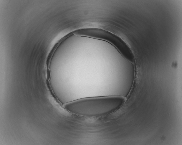 X0000111171080200907011002