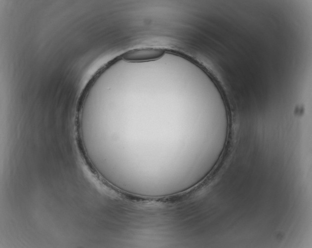 X0000111171085200907011002