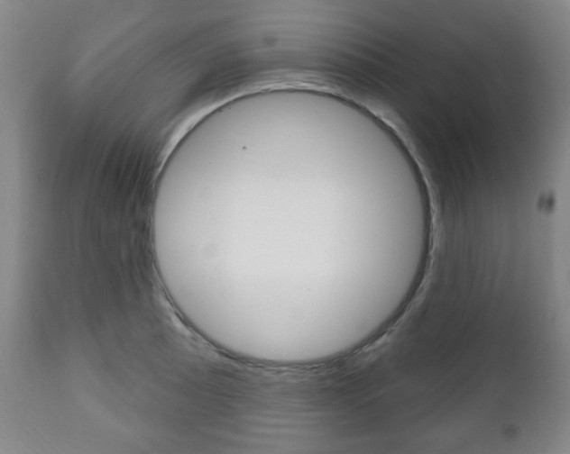X0000111171089200907011002