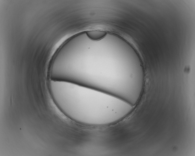 X0000111171091200907011002