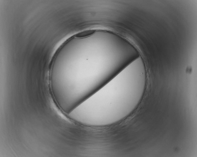 X0000111171092200907011002