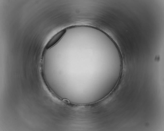 X0000111171093200907011002