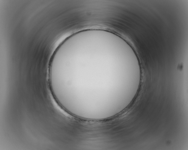 X0000111171095200907011002