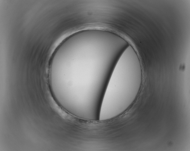 X0000111171099200907011002