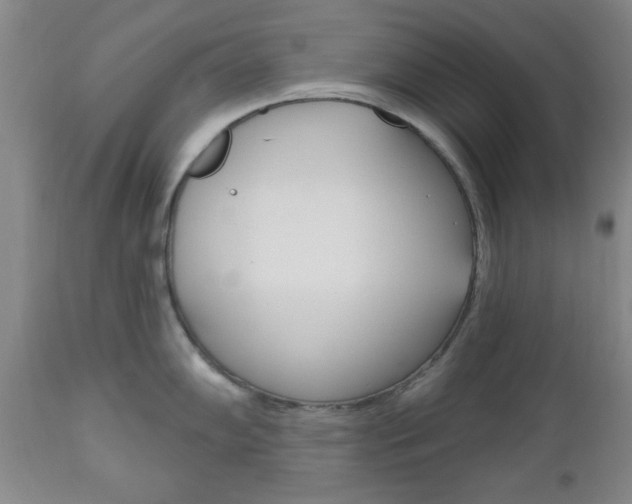 X0000111171102200907011002