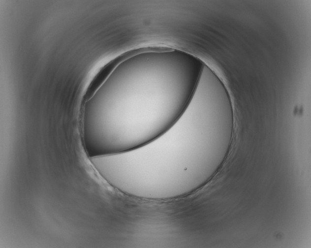 X0000111171104200907011002