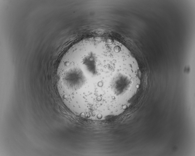 X0000111171105200907011001