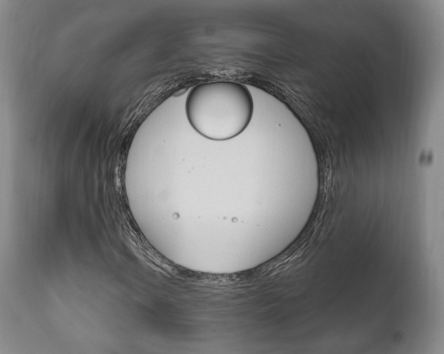 X0000111171106200907011001