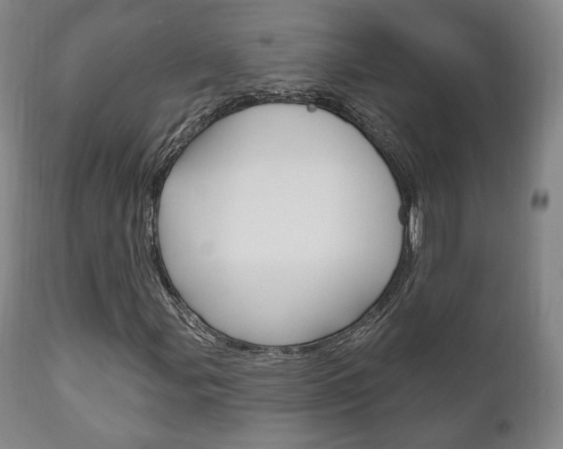 X0000111171107200907011001