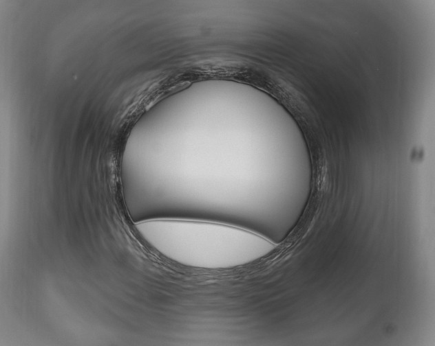 X0000111171108200907011001