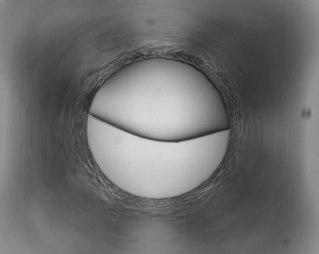 X0000111171109200907011001
