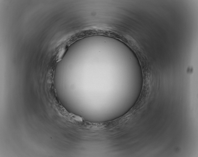 X0000111171110200907011001