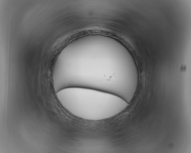 X0000111171111200907011001