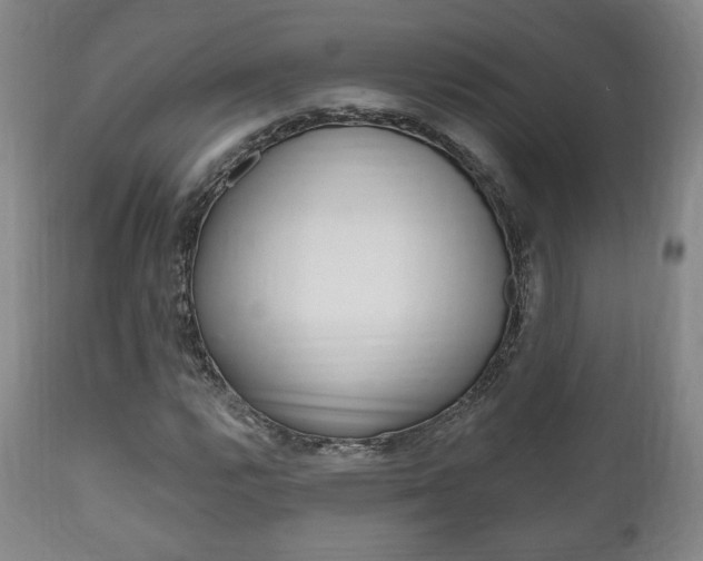 X0000111171112200907011001