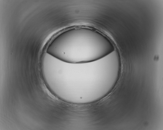 X0000111171116200907011001