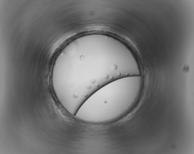 X0000111171117200907011001