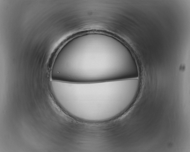 X0000111171118200907011001